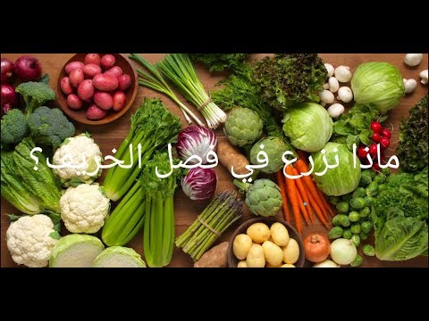 فيديو: زرع الخريف وزرع القزحية