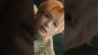 #boybandfandom #love #song #kpop #kpopfandom