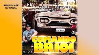 COMANDO BR 101 VOL.10 - DJ ANDRÉ ZANELLA