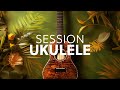 Introducing Session Ukulele | Native Instruments