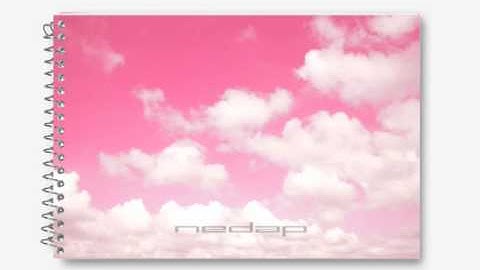 Nedap Velos Electronic Sow Feeding