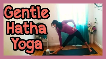 Gentle Hatha Yoga Full Class - 20 min Yoga for Beginners
