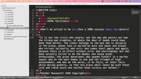 What is HTML Character Entity References