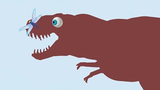 Tyrannosaurus Rex vs Dragonfly . Who will win? | Dinosaurs Cartoon