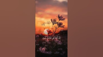 لقد كان في يوسف وإخوته آيات للسائلين ... سورة يوسف #المصحف #لايك #اكسبلور