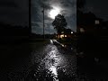 Mute | Cinematic Night Ambience