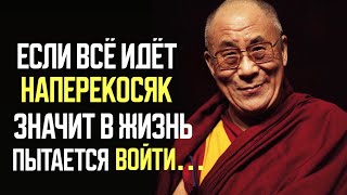 Далай Лама XIV, Исцеляющие цитаты, которые заставляют задуматься!