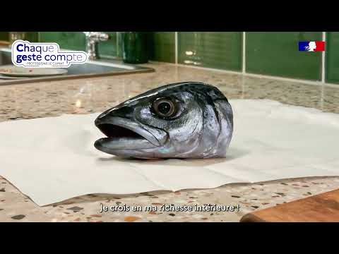 Bio-waste campaign - The fish and the banana