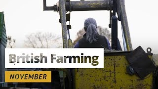 British Farming | 12 Months On A UK Farm: November