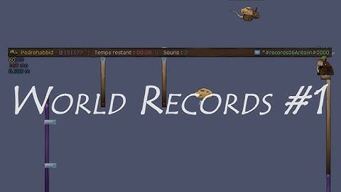 Transformice - World Records #1