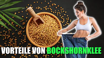 Was macht Bockshornklee mit dem Körper?