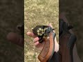One Of The Most Interesting 9mm Revolvers S W 547 Shorts One Of The Most Interesting 9mm Revolvers S W 547 Shorts