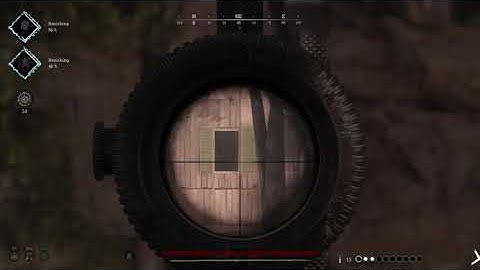 HUNT: SHOWDOWN wtf hit reg