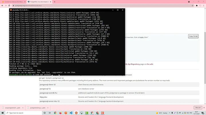 Setting up Postgresql on EC2 Ubuntu Instance