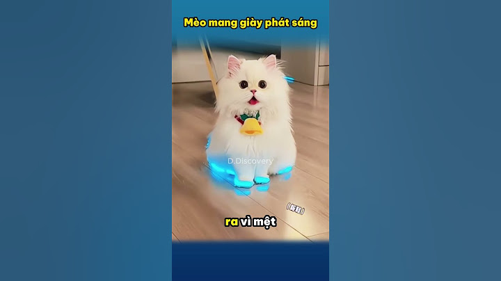When the kitten wears glowing shoes
