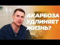 Акарбоза достоверно продлевает жизнь мышам. Стоит ли применять ее людям?