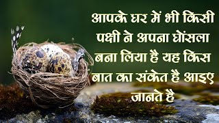 Birds Nest आपके घर में भी किसी पक्षी ने अपना घोंसला बना लिया है यह किस बात का संकेत है आइए जानते है