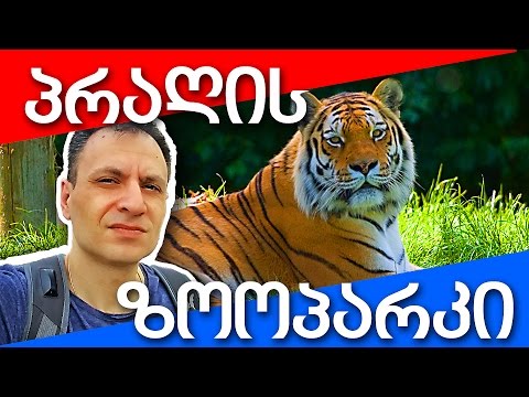 პრაღის ზოოპარკი - PRAGUE ZOO