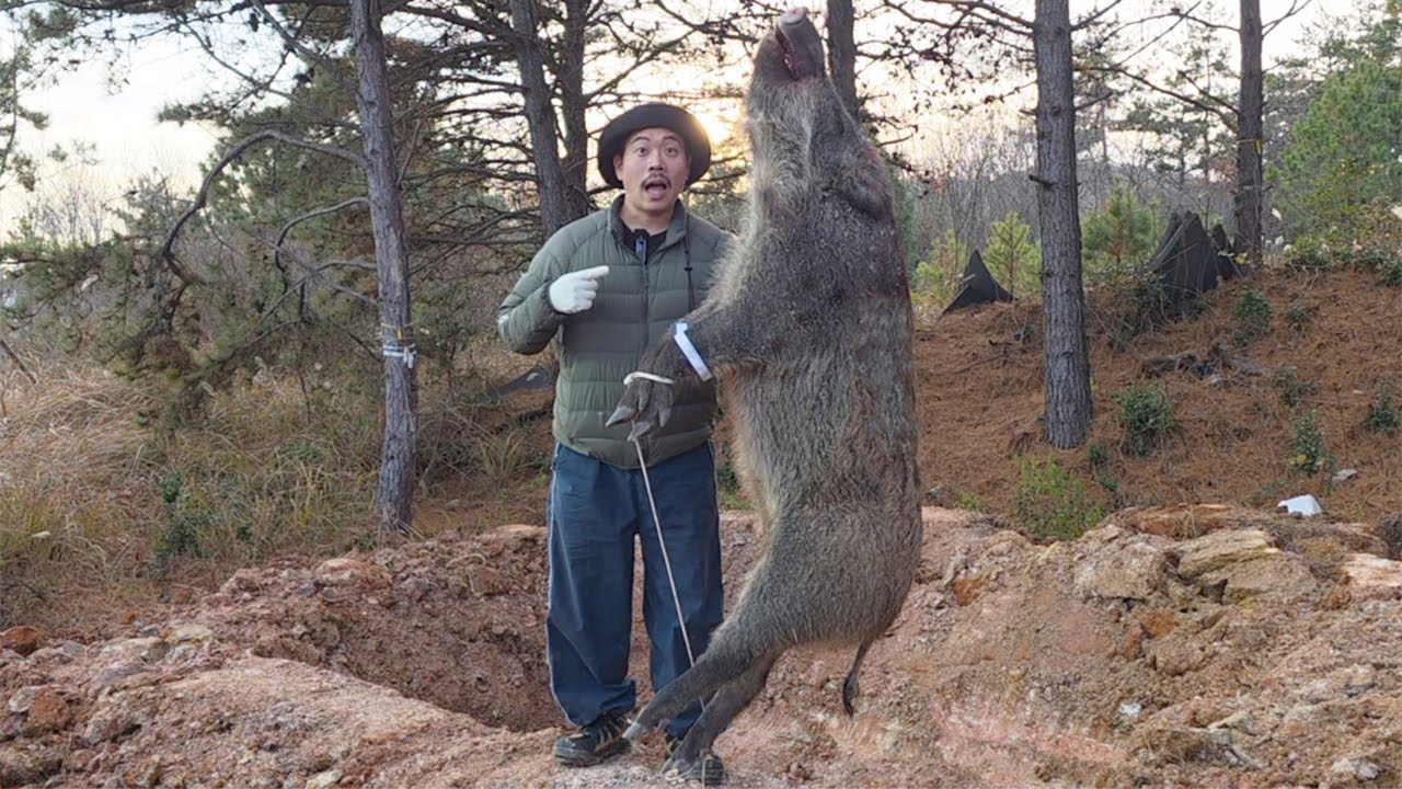 3일 동안 산을 뒤져서 잡은 거대한 멧돼지를 꿔바로우로 만들어 먹어보자!
