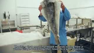 Chef Lorenzo - The secret of Icelandic cod