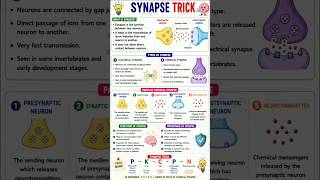 #synapse#tricks#easylearning#easyunderstanding#biology#studynotes#examnotes#subscribe#quickrevision