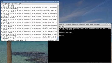 Installatie gnome-system-monitor.avi