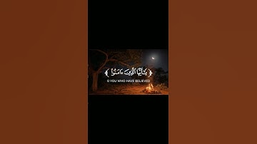 تلاوه هادئه تريح الاعصاب ✨قران كريم ✨ايات قرانيه قصيره#اكسبلور #حالات_واتس #المصحف #لايك  #اكسبلور