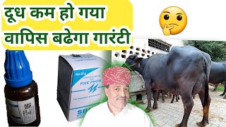 गाय भैंस का दूध बढ़ाने का  No1 फार्मूला/How To Increase Cow Buffalo Milk