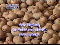 16 06 2017 improved techniques in potato cultivation dr h amarananjundeshwara