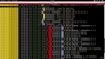 13.  Spying on Network Devices 👀 | Capture Passwords & Websites with Bettercap (MITM Attack)