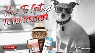 How to Get a US Pet Passport in 2025 🐶✈️ | Stress-Free Pet Travel Guide!