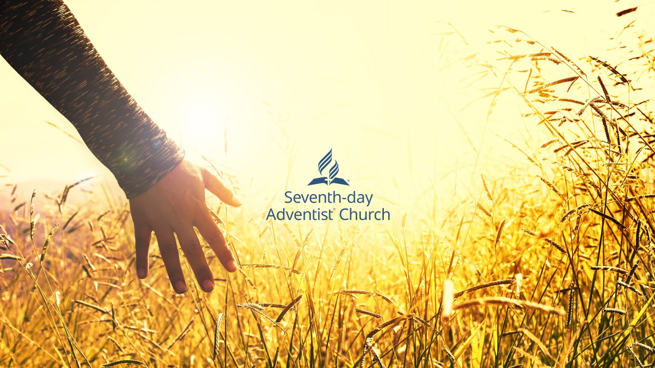 ""Church Health:  What Shall We Do?" (Full service) - Dr. Scott Tarof