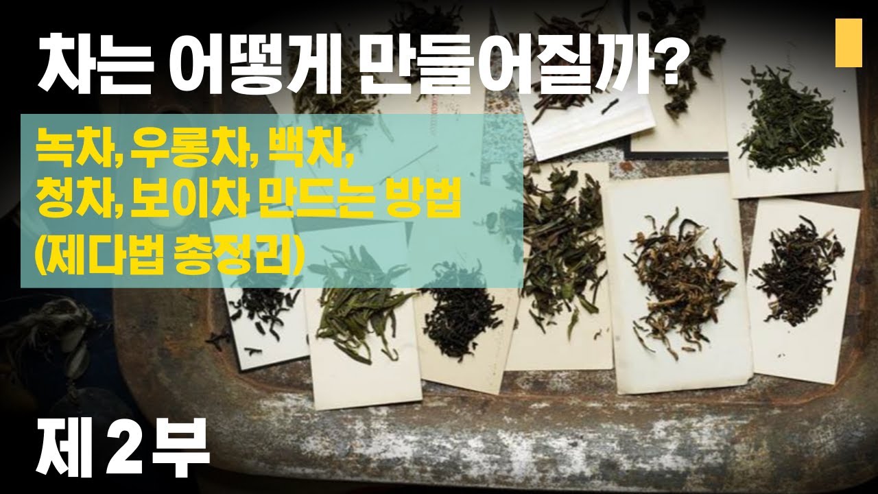 차는 어떻게 만들어질까? 차의 종류는 어떻게 구분될까?ㅣ같은 잎을 가지고 녹차, 백차, 우롱차, 청차, 보이차 만드는 방법과 차 ...