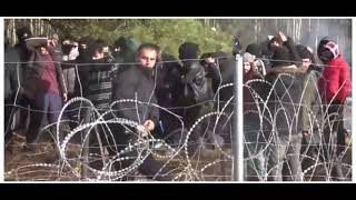 Белоруссия Граница Мигранты Пытаются Пробить Лопатами Польское Ограждение