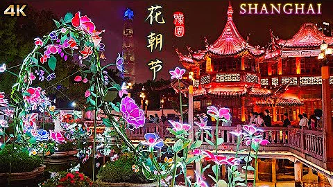 Shanghai Spring Flower Festival~Yu Garden Lantern Show Walk Tour|China Travel 2024 上海豫园仲春花朝节漫步 - 天天要闻