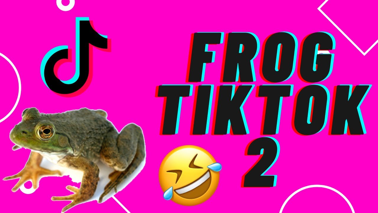 Funny TikTok Compilation Frog Edition 2 YouTube
