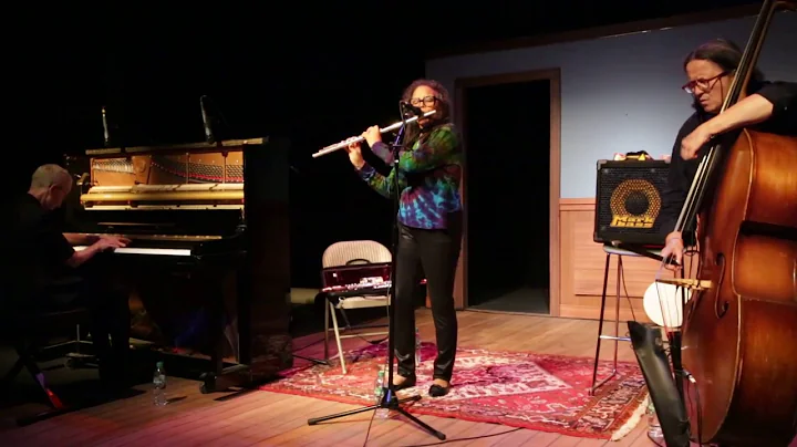 Tiger Trio (Nicole Mitchell, Joelle Leandre, Myra ...