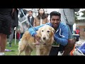 Hooman and pups run  mpp vijay thanigasalam  scarboroughrouge park