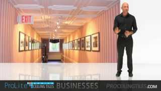 ProLite Ceiling Tiles for Businesses