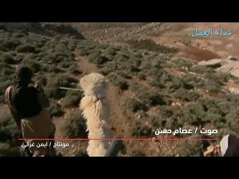 الهجرة النبوية الشريفة درس و معلومة