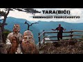 Kulturista ep.2 -  Tara i Tarabici (Kremansko prorocanstvo)