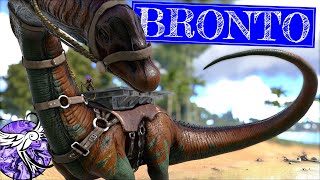 TAMING OUR NEXT BASE LOCATION | Hope - EP10 | ARK Survival Evolved