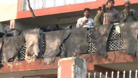 Kanpur, India: Ganges Under Threat