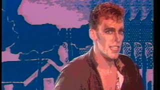 Baltimora   Tarzan Boy 1985