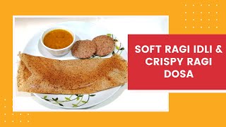 #131 Soft Ragi Idli,Crispy Ragi Dosa Recipe |ராகி இட்லி, ராகி தோசை | Healthy Finger Millet Idli/Dosa