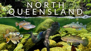 Beneath the Surface: Exploring North Queensland's Freshwater Streams