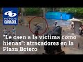 “Le caen a la víctima como hienas”: impactantes videos de atracadores en la Plaza Botero