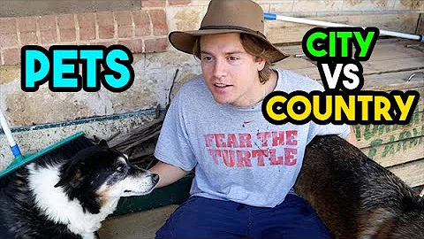 City Pets vs Country Pets