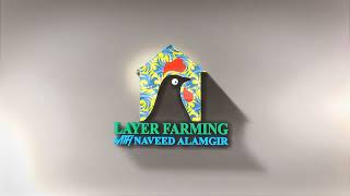 Layer Farming With Naveed Alamgir - Work For Client