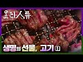 KBS명작다큐｜요리인류 ｜생명의 선물, 고기 (1/2) Food Odyssey